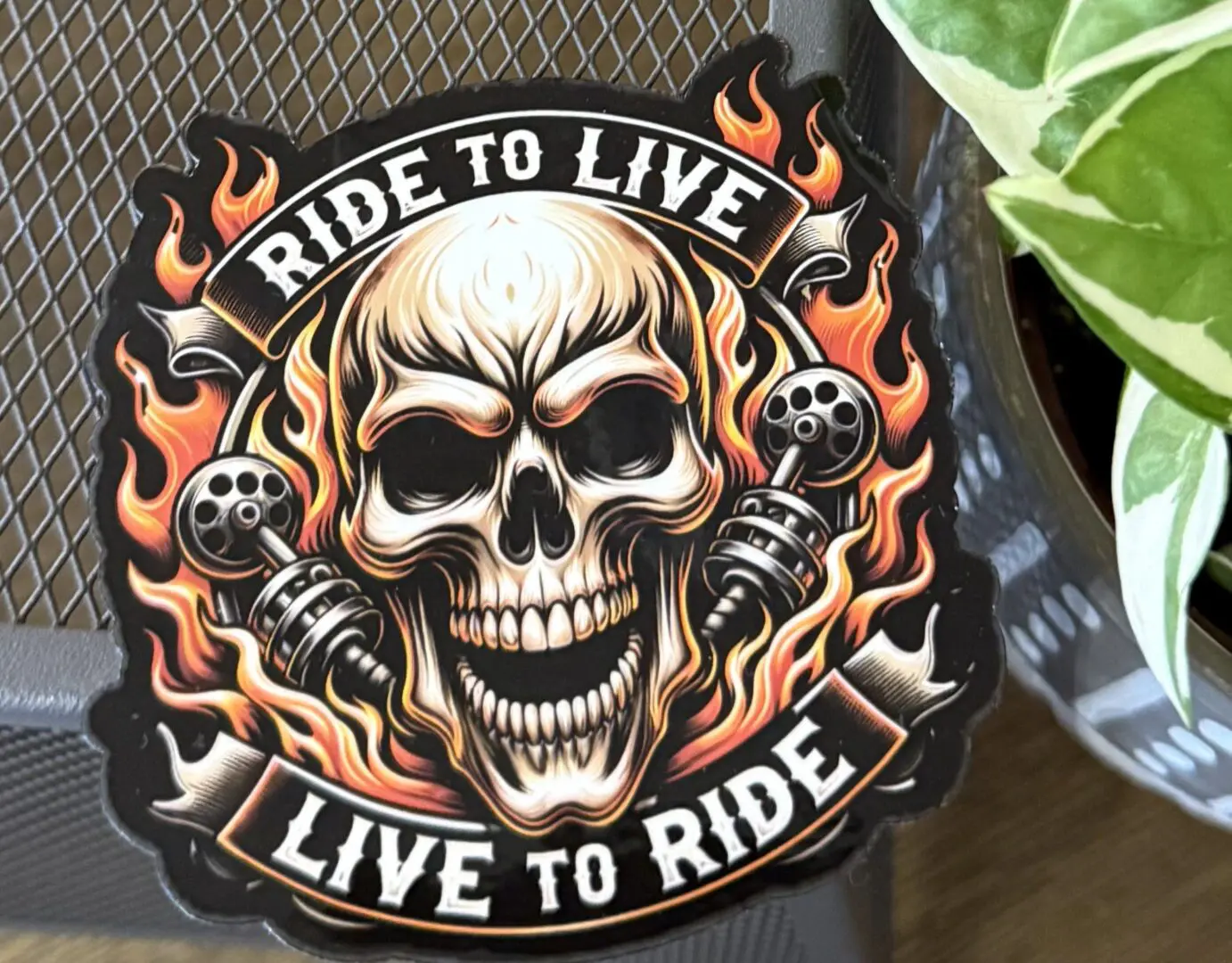 A skull with flames and the words " ride to live, live to ride ".